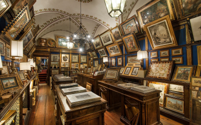 The Blue Shop, Baccani