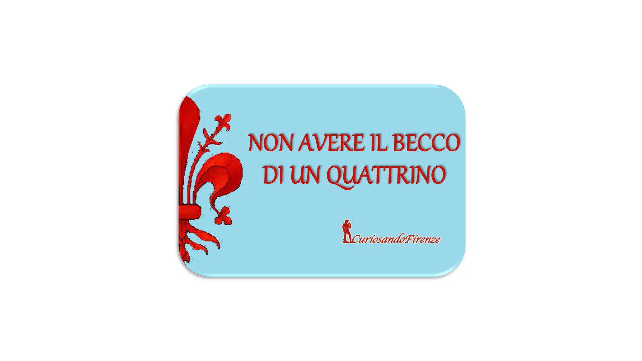 perché si dice Non avere il becco di un quattrino perché si dice Non avere il becco di un quattrino
